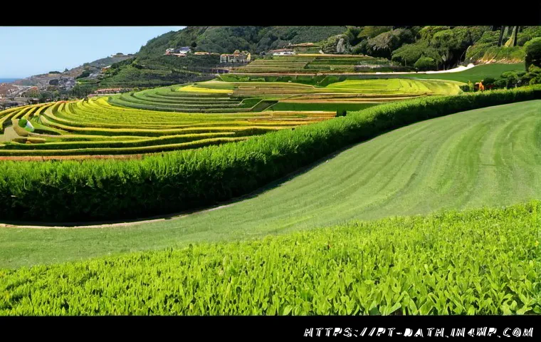 Projetos de arte com dados que resultaram: critérios para avaliar impacto, tecnologia e orçamento 4 데이터 기반 예술 프로젝트의 성공 사례 관련 이미지 2